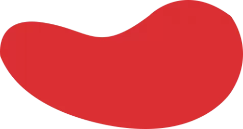 K8凯发·(中国)天生赢家·一触即发